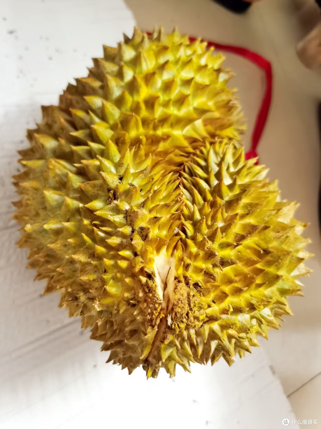 榴莲季来临,美味正当时