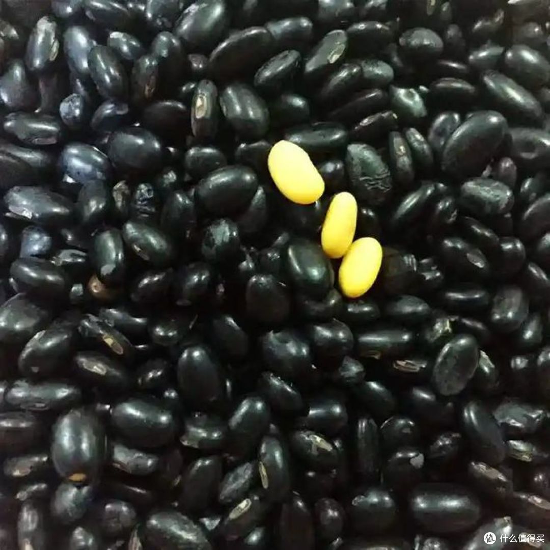 绿芯黑豆和黄芯黑豆有什么区别？哪种防三高和脱发？