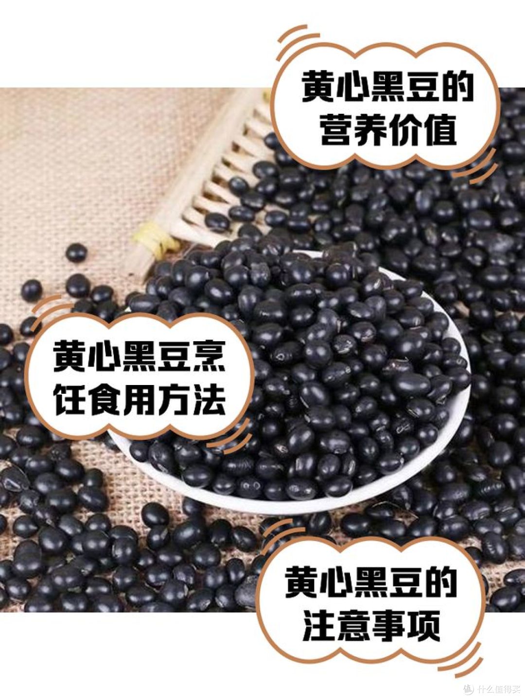 绿芯黑豆和黄芯黑豆有什么区别？哪种防三高和脱发？