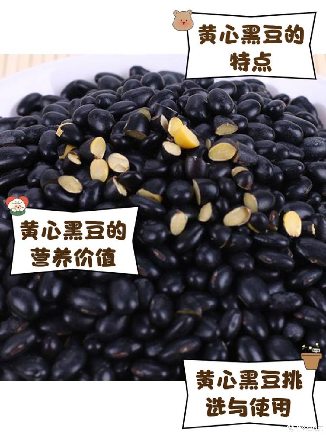 绿芯黑豆和黄芯黑豆有什么区别？哪种防三高和脱发？