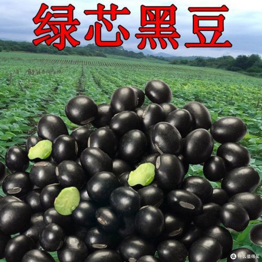 绿芯黑豆和黄芯黑豆有什么区别？哪种防三高和脱发？