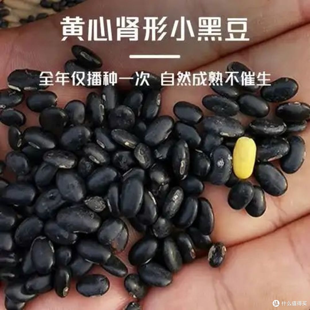 绿芯黑豆和黄芯黑豆有什么区别？哪种防三高和脱发？