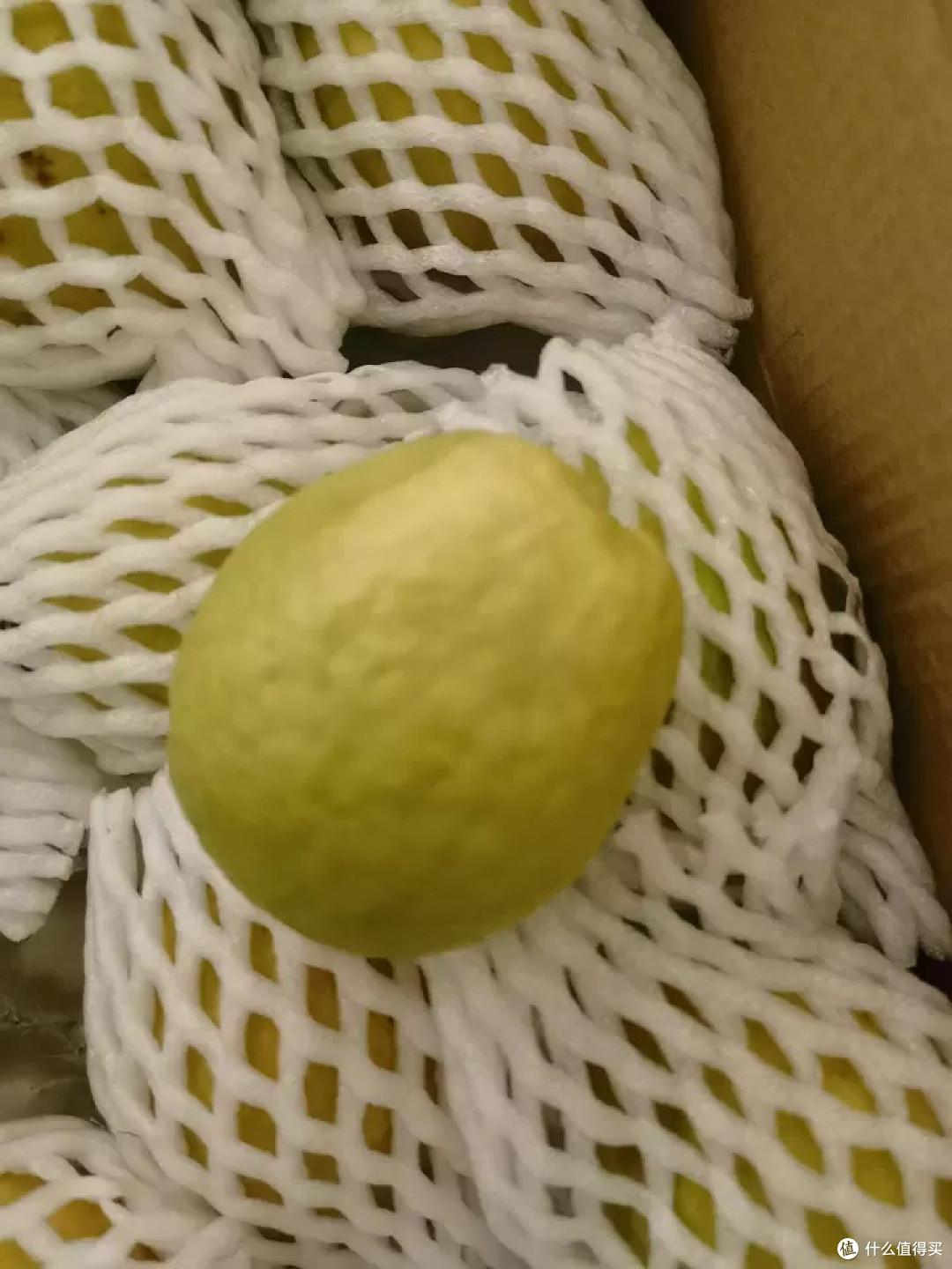 红心芭乐,时令水果的高甜诱惑
