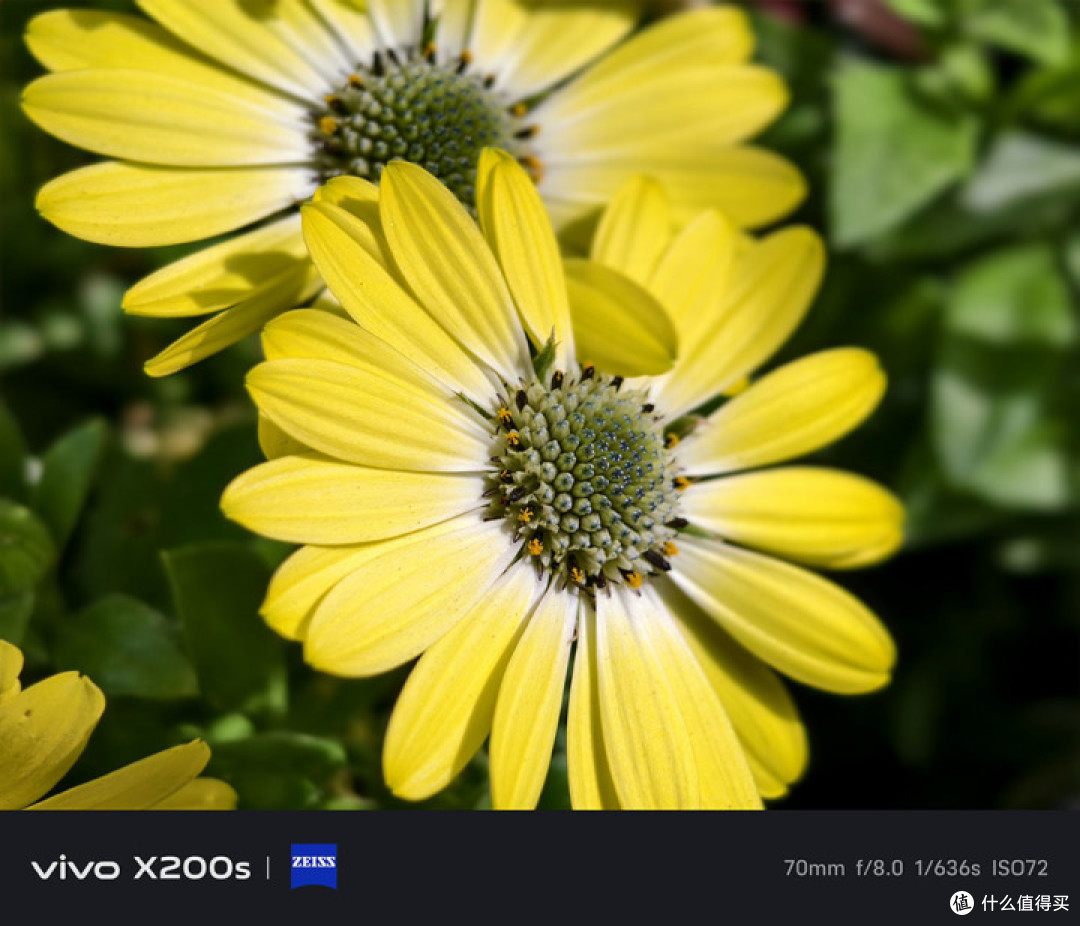 vivo X200s评测 四大升级引领直屏旗舰升杯