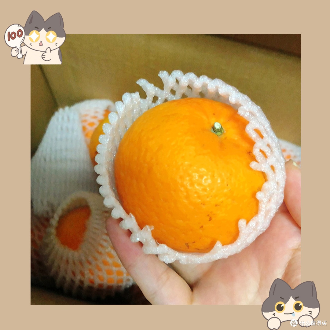 鲜甜美味,云南沃柑带你领略水果的极致享受!