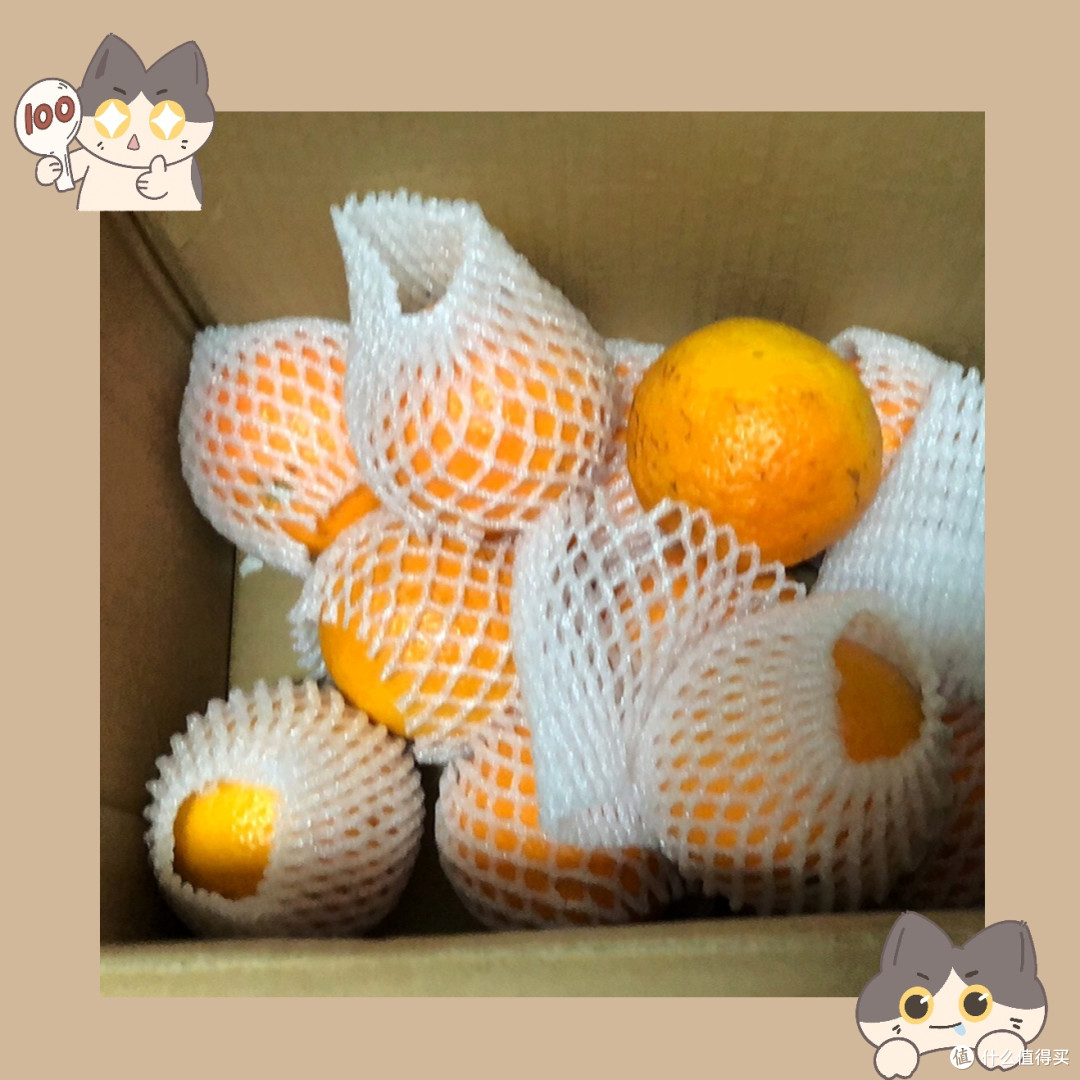鲜甜美味,云南沃柑带你领略水果的极致享受!