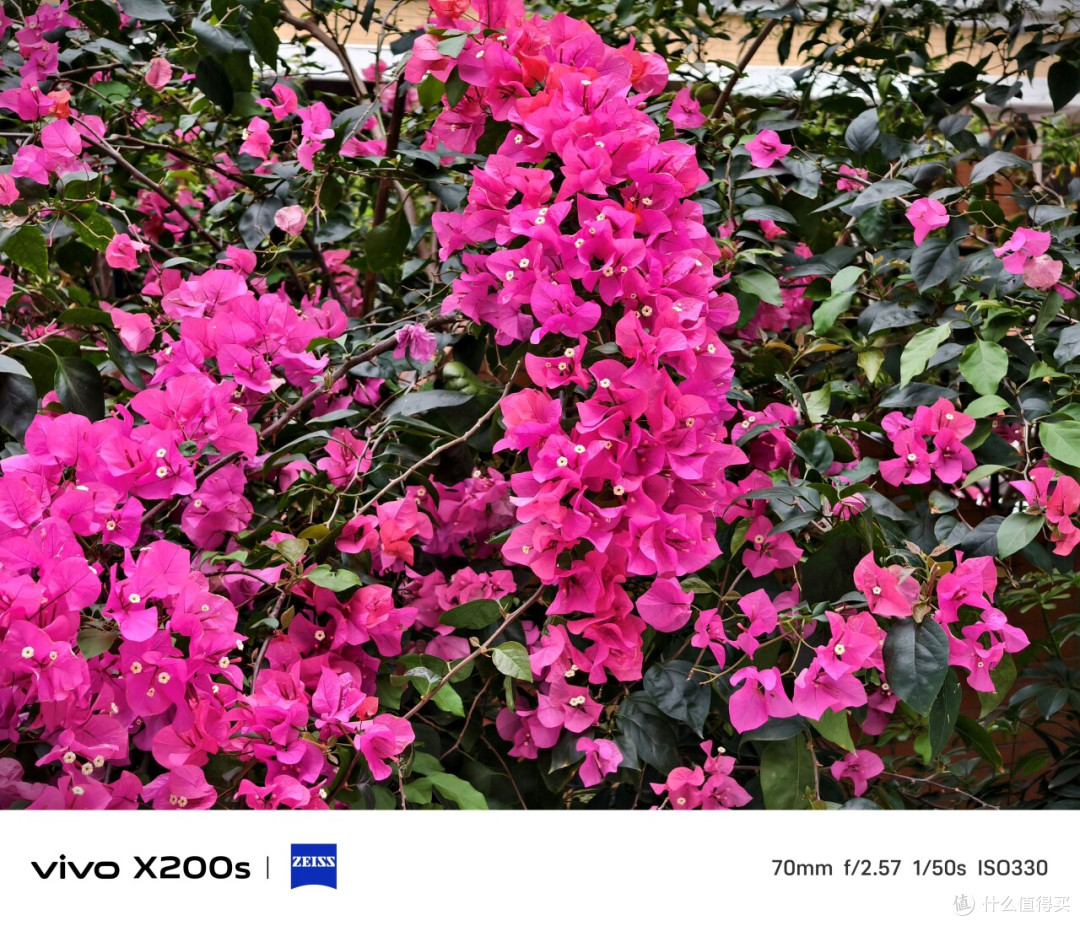vivo X200s首发评测出炉:小有升级的完整旗舰