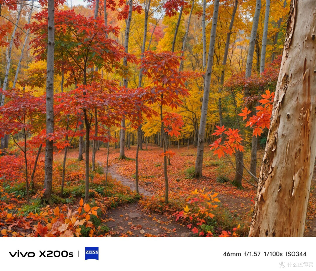 vivo X200s首发评测出炉:小有升级的完整旗舰