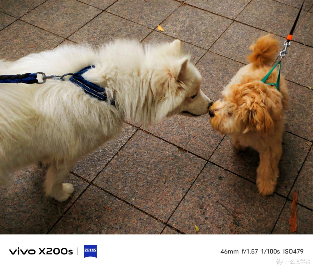 vivo X200s首发评测出炉:小有升级的完整旗舰
