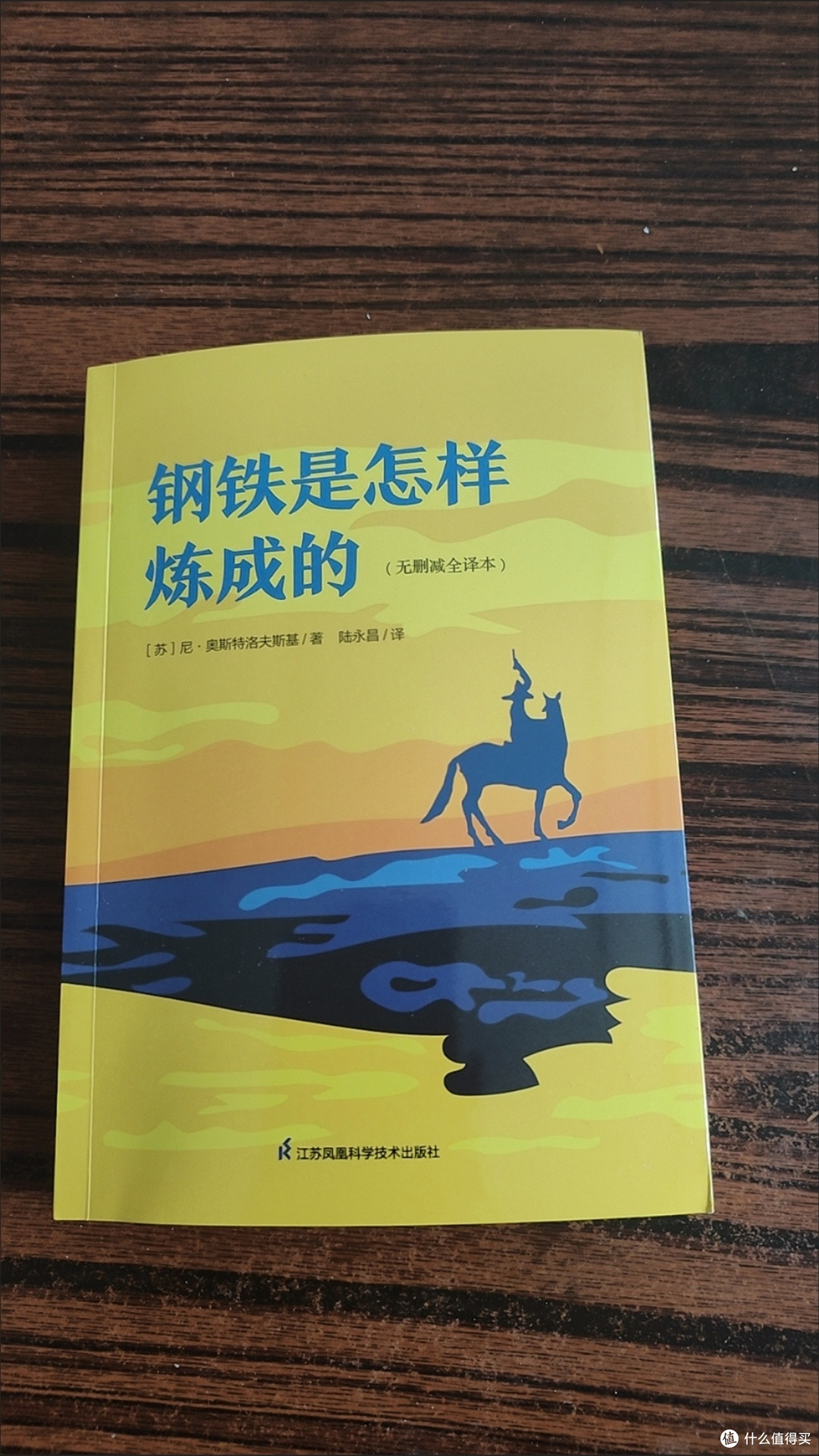《〈钢铁是怎样炼成的〉:点亮我生命的灯塔》