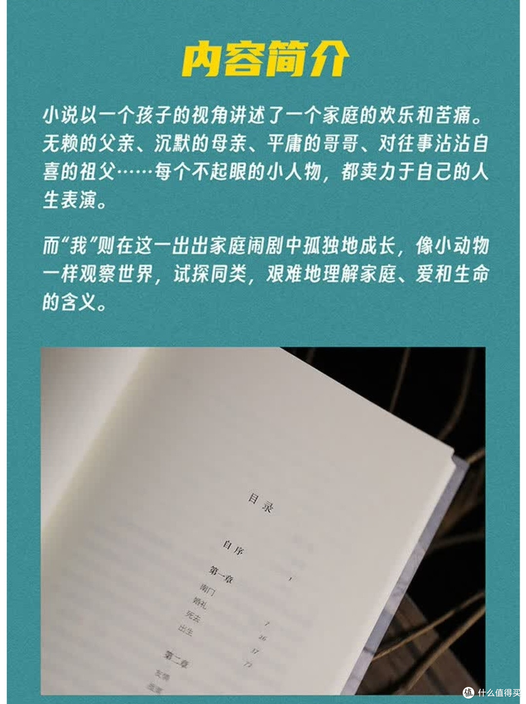 细雨中的温暖，你感受到了吗？