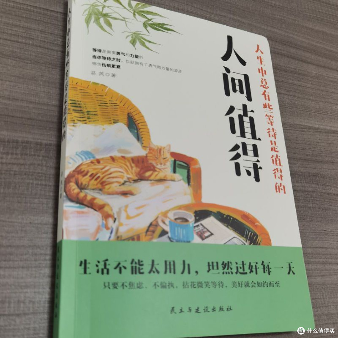 淡看人间事：在书中学会与世界温柔和解