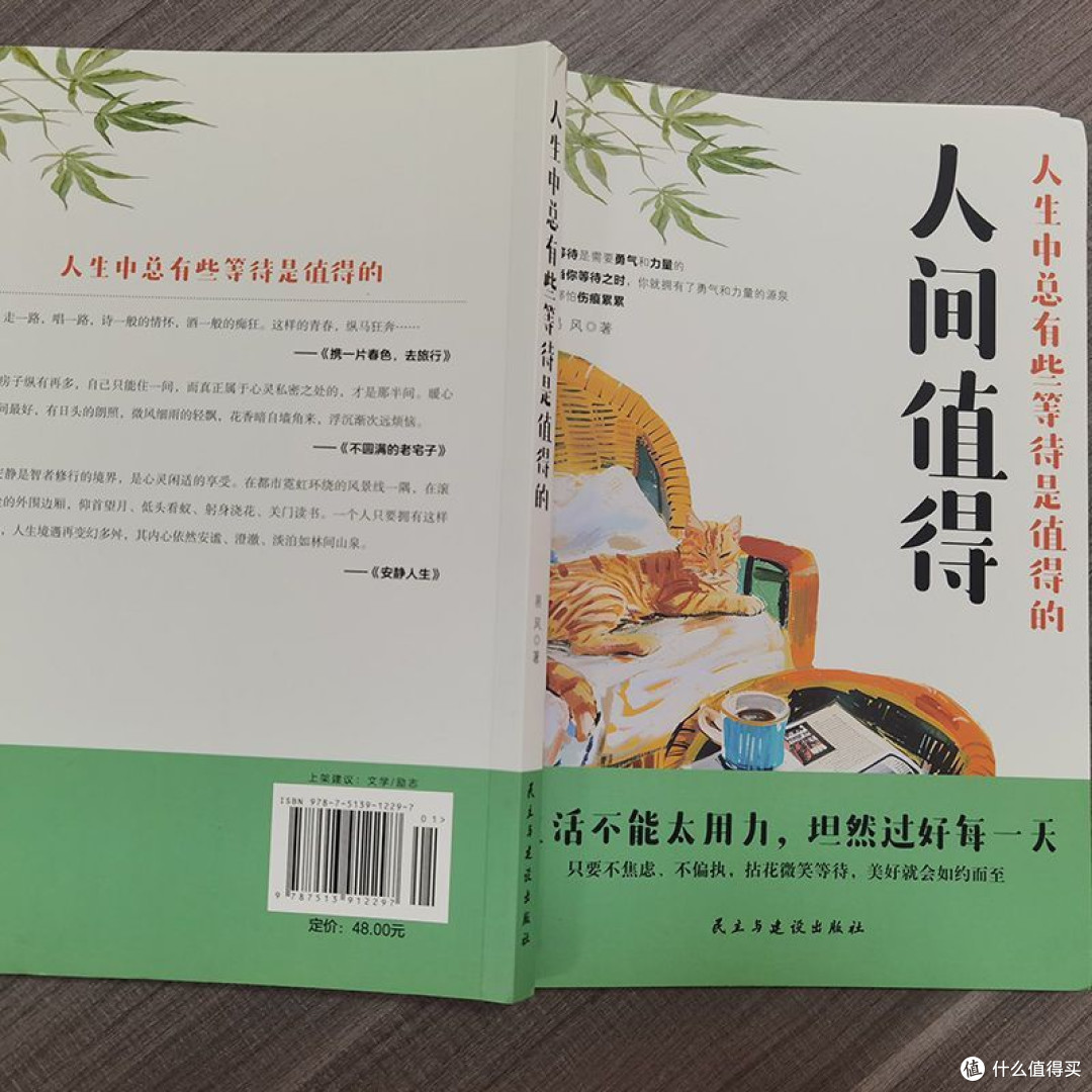 淡看人间事：在书中学会与世界温柔和解