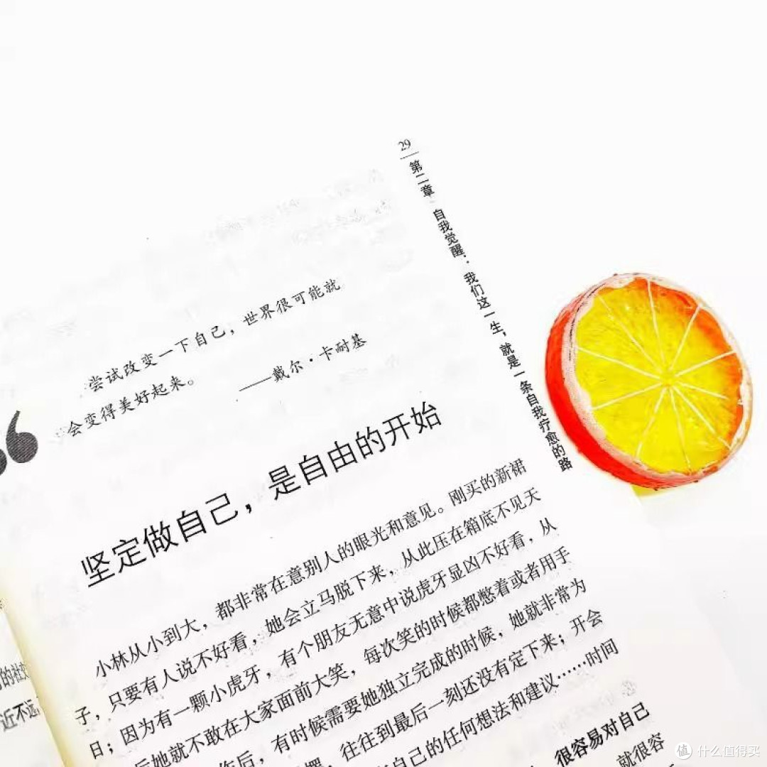 淡看人间事：在书中学会与世界温柔和解