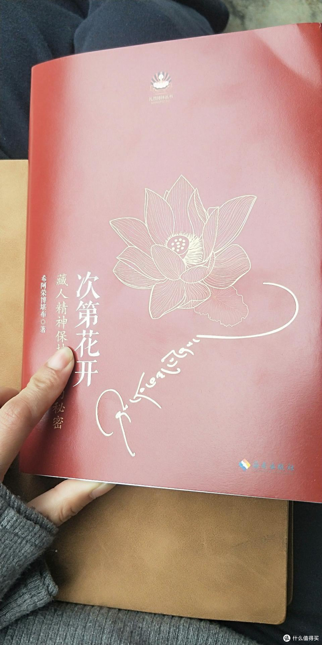 淡看人间事：在书中学会与世界温柔和解