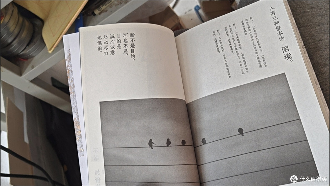 《总有路在等你》:在低谷时照见光的「生命启示录」