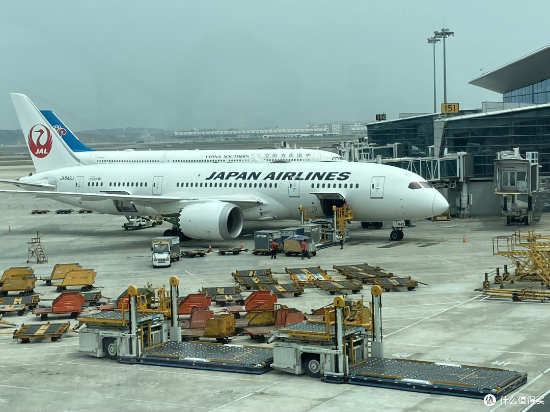 日本航空经济舱豪横餐食,我被哈根达斯征服了,没喝香槟后悔了!