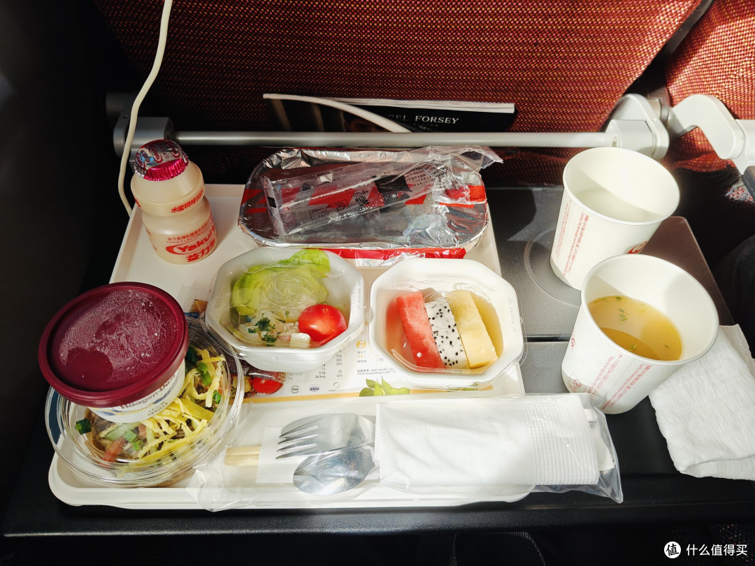 日本航空经济舱豪横餐食,我被哈根达斯征服了,没喝香槟后悔了!