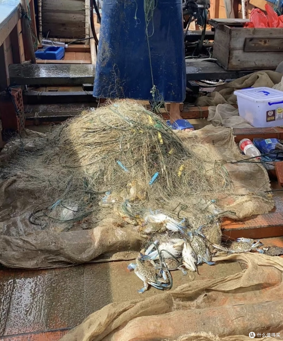 五一防城港金滩体验出海捕鱼与海鲜美食