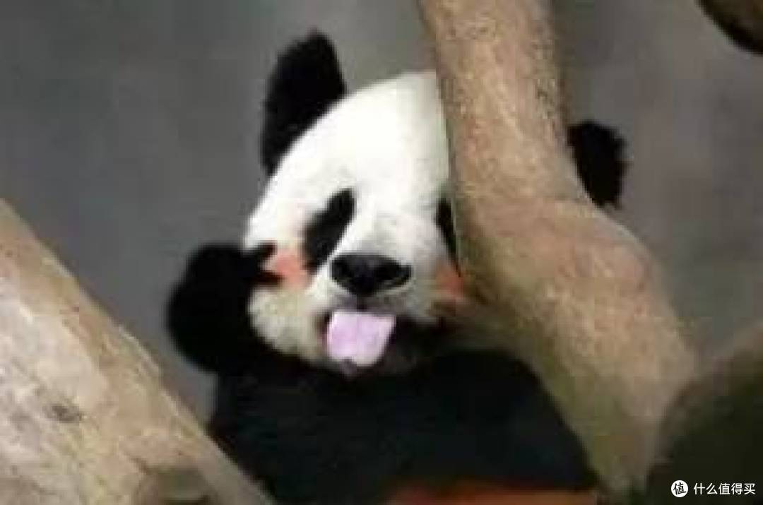 哪个牌子护发精油好用?欧莱雅怎么样?护发精油十大品牌推荐