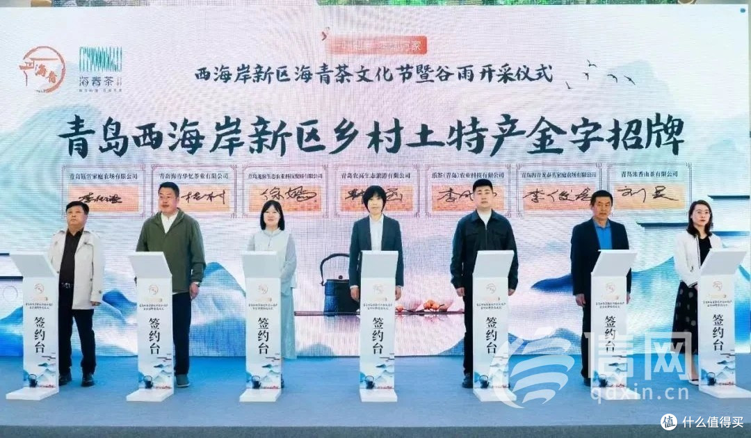 茶韵赋能乡村振兴 西海岸新区海青茶文化节暨谷雨开采仪式启幕