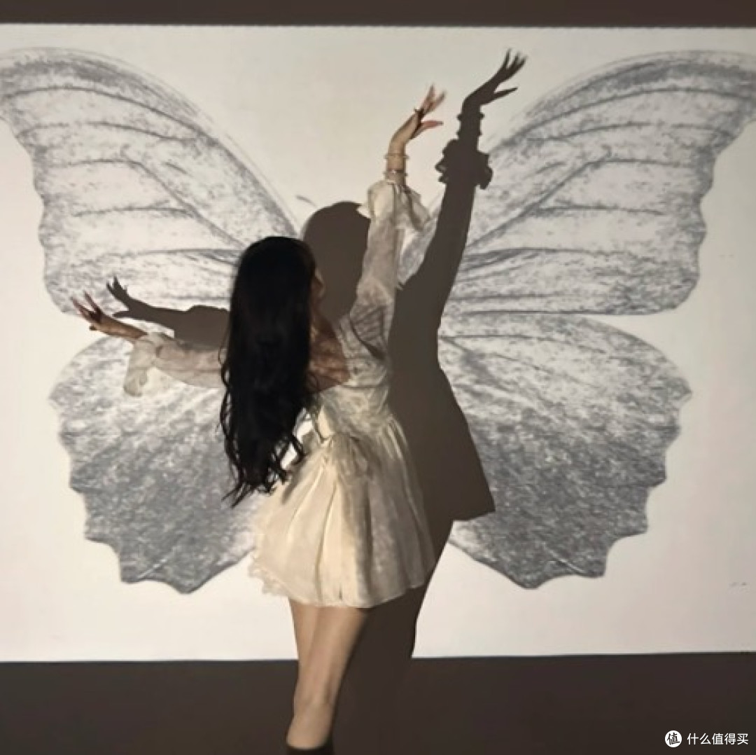 蝴蝶🦋雨丨春日限定的蝴蝶展来啦!
