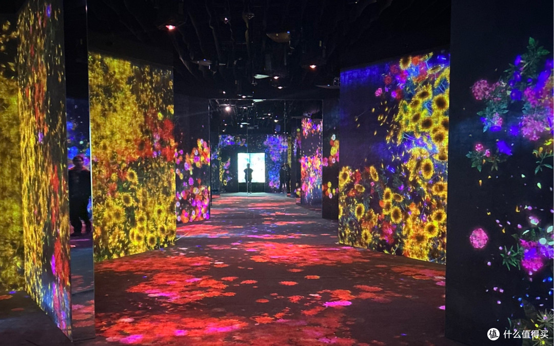 春日逛展：艺术的多元体验