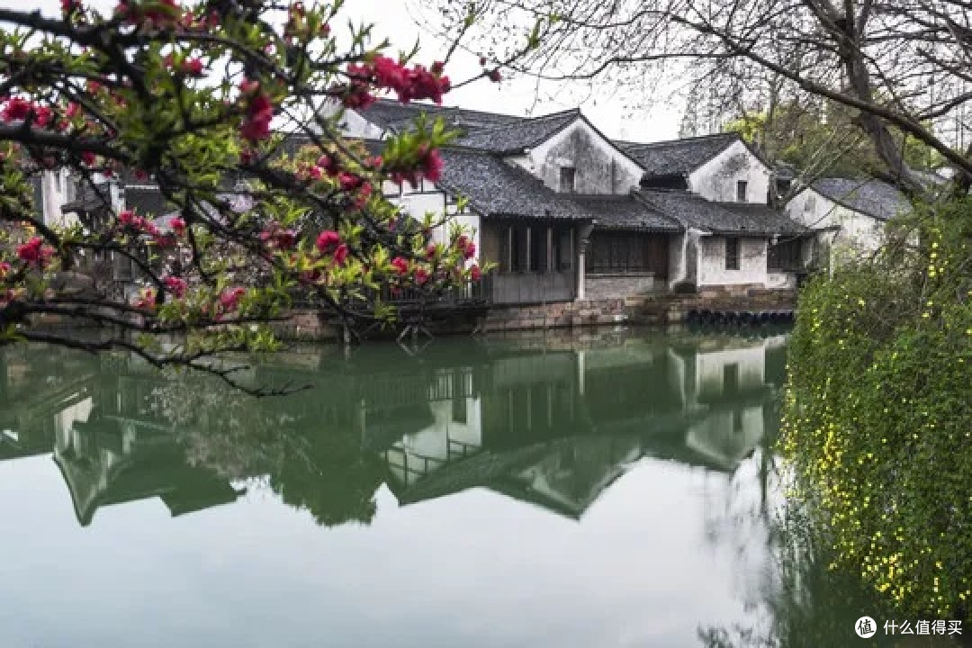 人潮与船歌的量子纠缠：乌镇五一魔幻漂流记