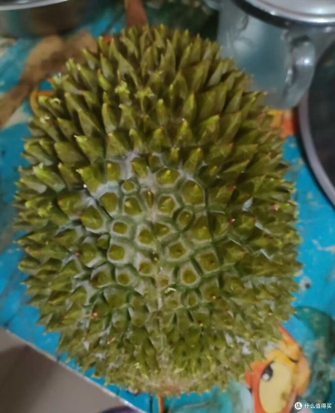 猫山王榴莲：冷冻原粒带壳，解锁极致美味之旅

 