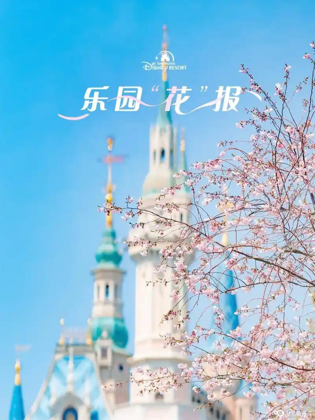 春日游上海迪士尼，惊喜连连！