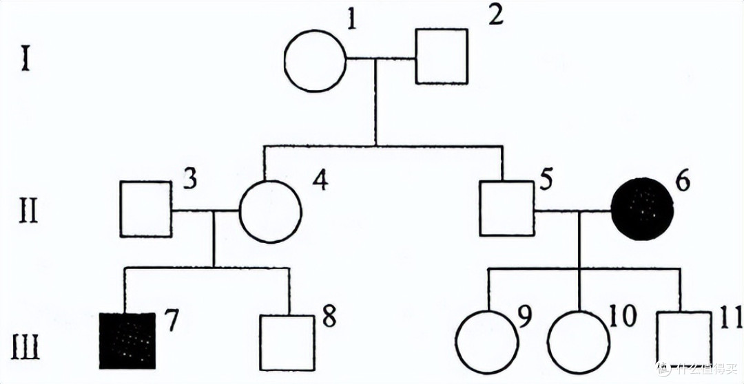 基因只能垂直传递吗？基因水平转移了解下