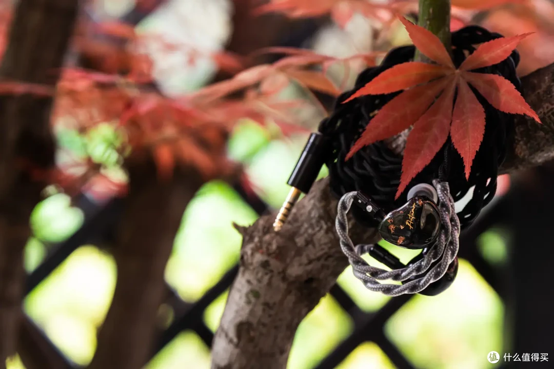 「巡洋笔记」Kanek Audio Autumn:那一块香甜的枫糖