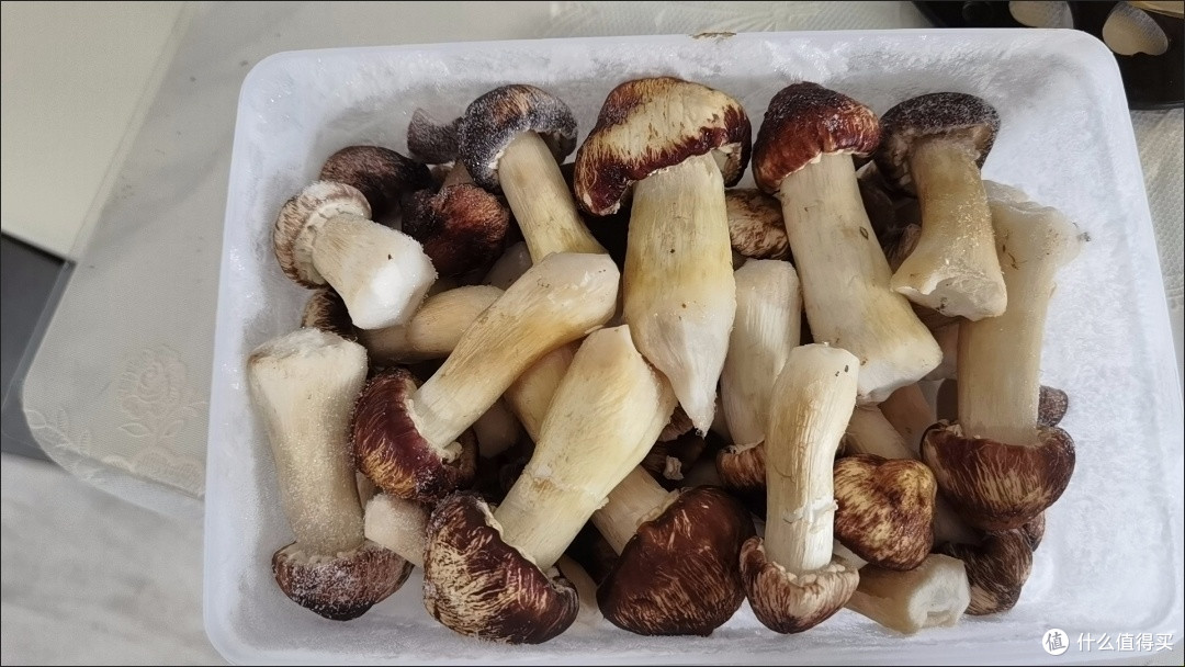 贵州原生态赤松茸：煲汤必备，鲜美无比的滋补之选