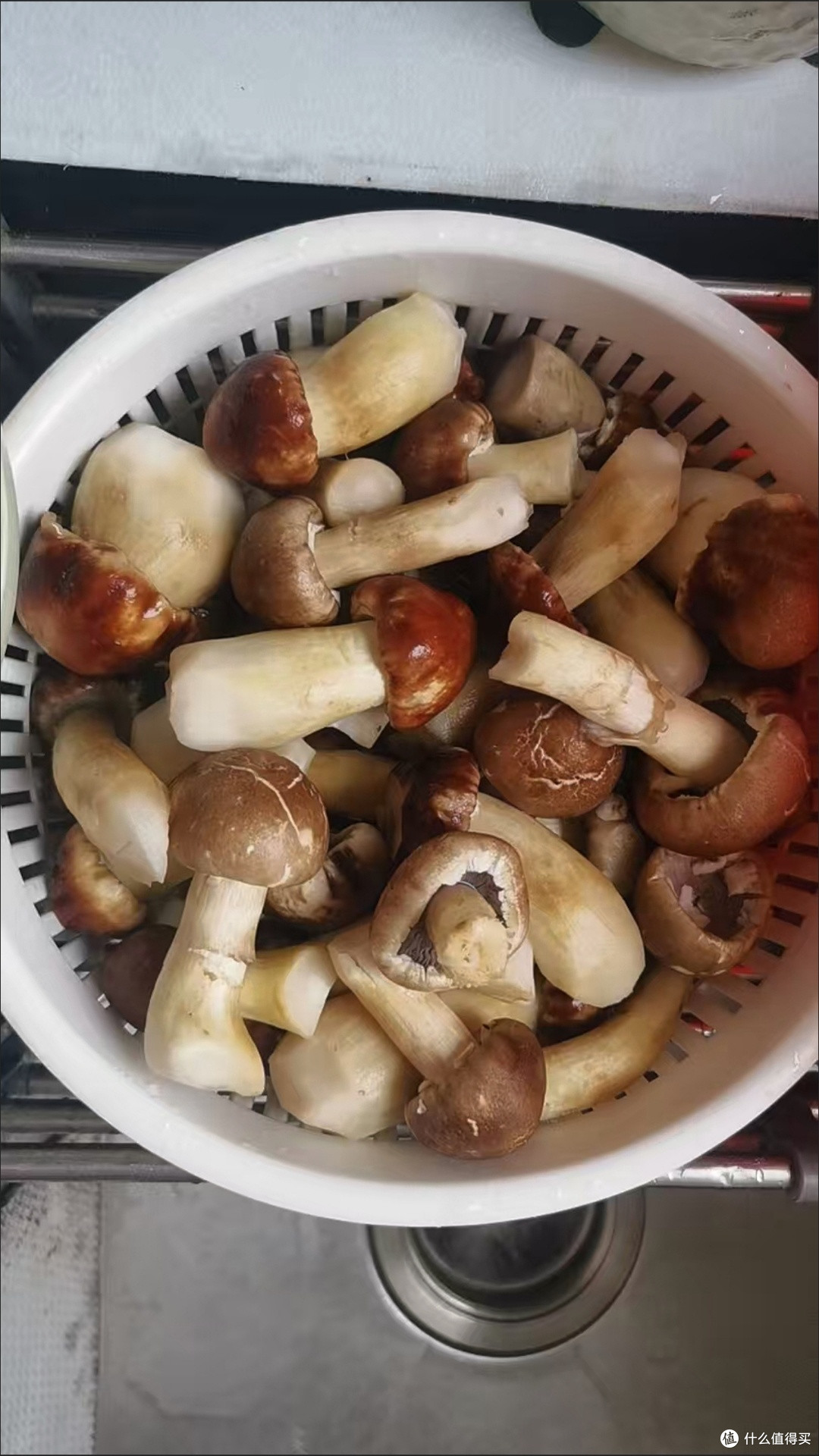 贵州原生态赤松茸：煲汤必备，鲜美无比的滋补之选