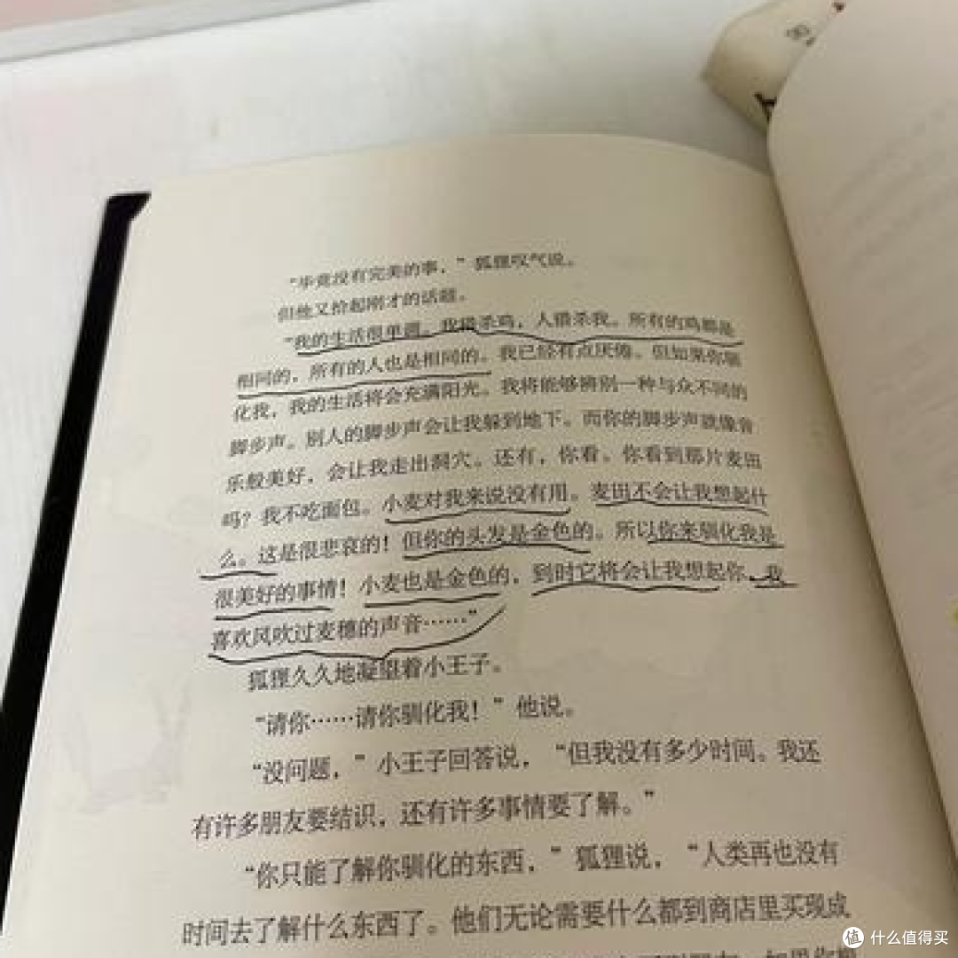童话外衣下的生命哲思——读《小王子》有感