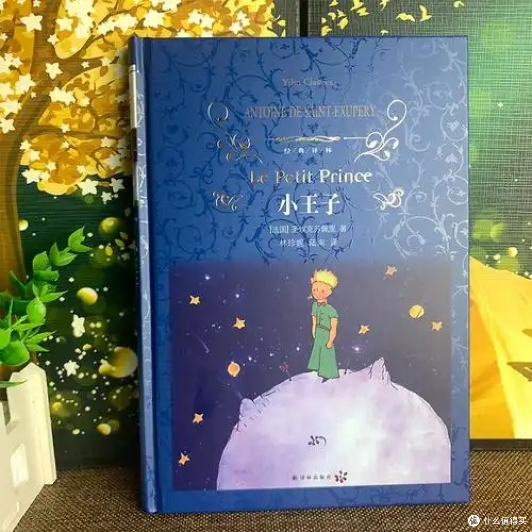 童话外衣下的生命哲思——读《小王子》有感