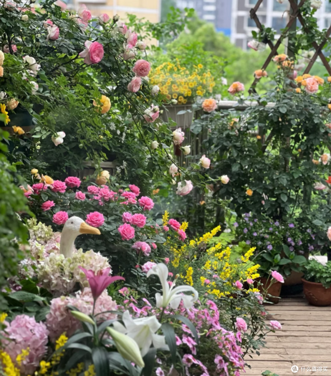 这7种花“沾土就活”，趁着4月，建议大家多种一些，开花太美了