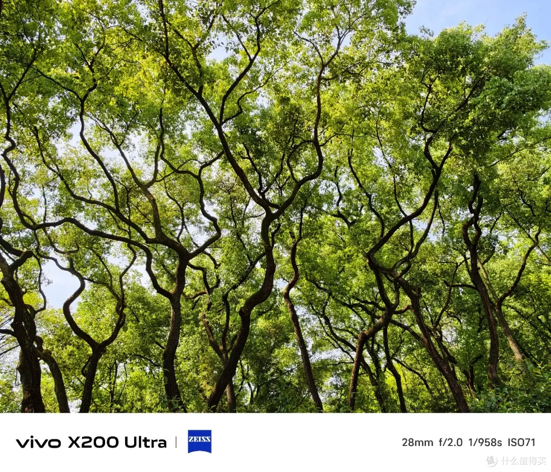vivo X200 Ultra测评:蔡司三主摄+增距镜,效果究竟有多离谱?