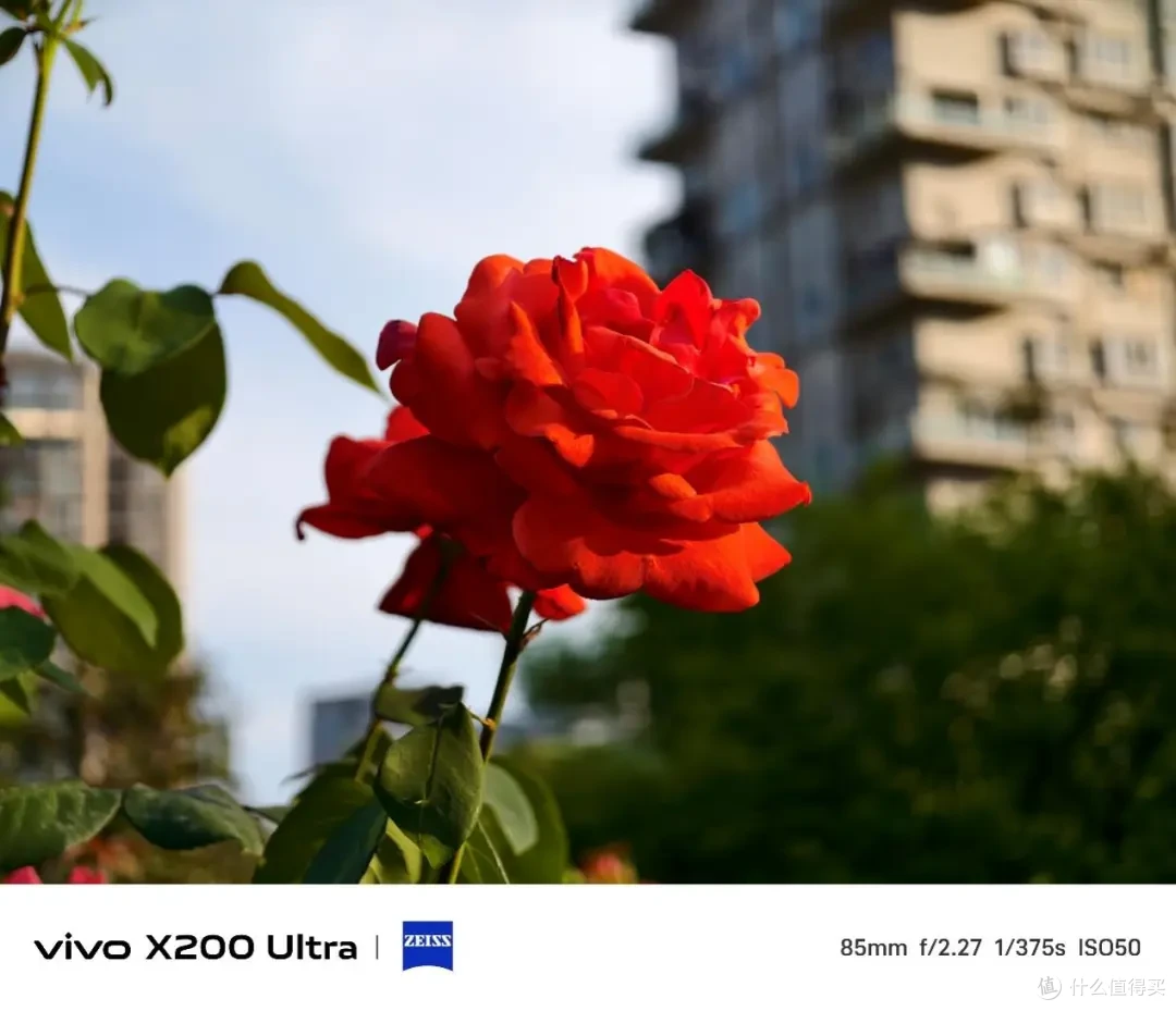 vivo X200 Ultra测评:蔡司三主摄+增距镜,效果究竟有多离谱?