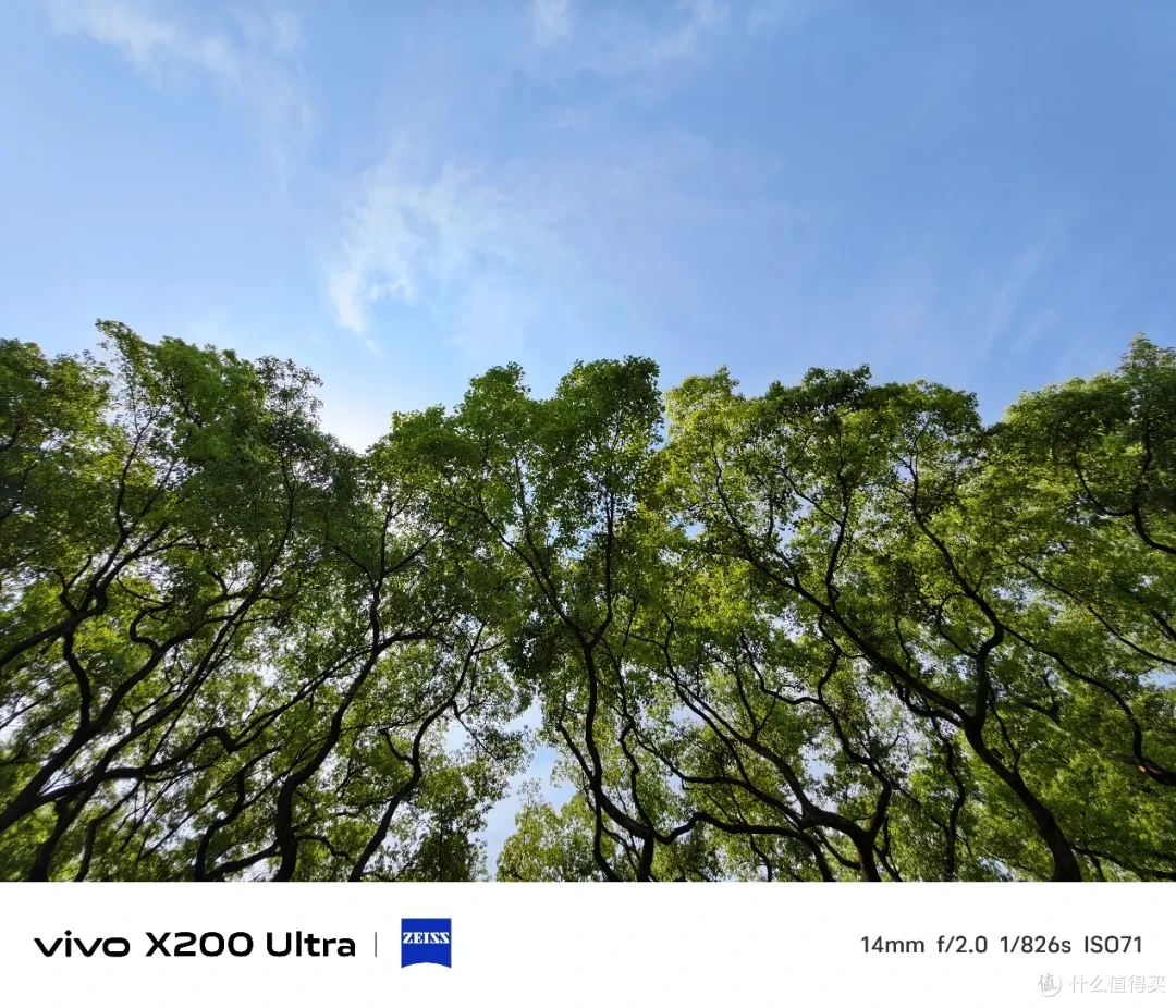 vivo X200 Ultra测评:蔡司三主摄+增距镜,效果究竟有多离谱?