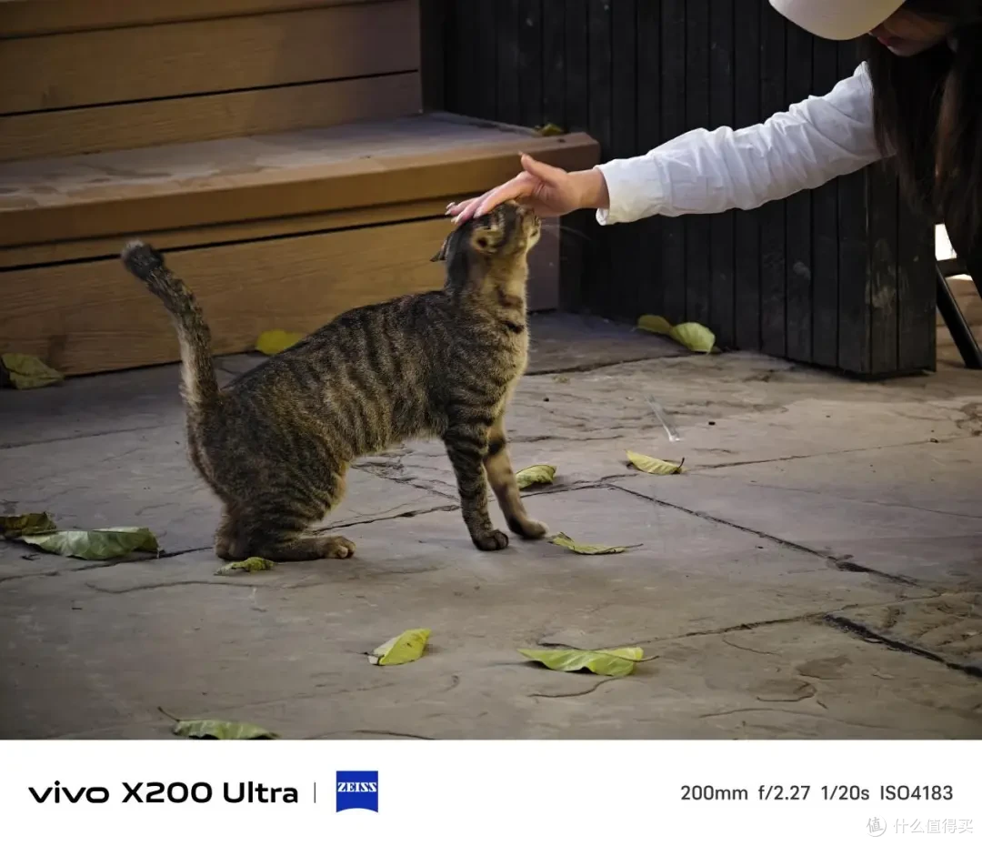 vivo X200 Ultra测评:蔡司三主摄+增距镜,效果究竟有多离谱?
