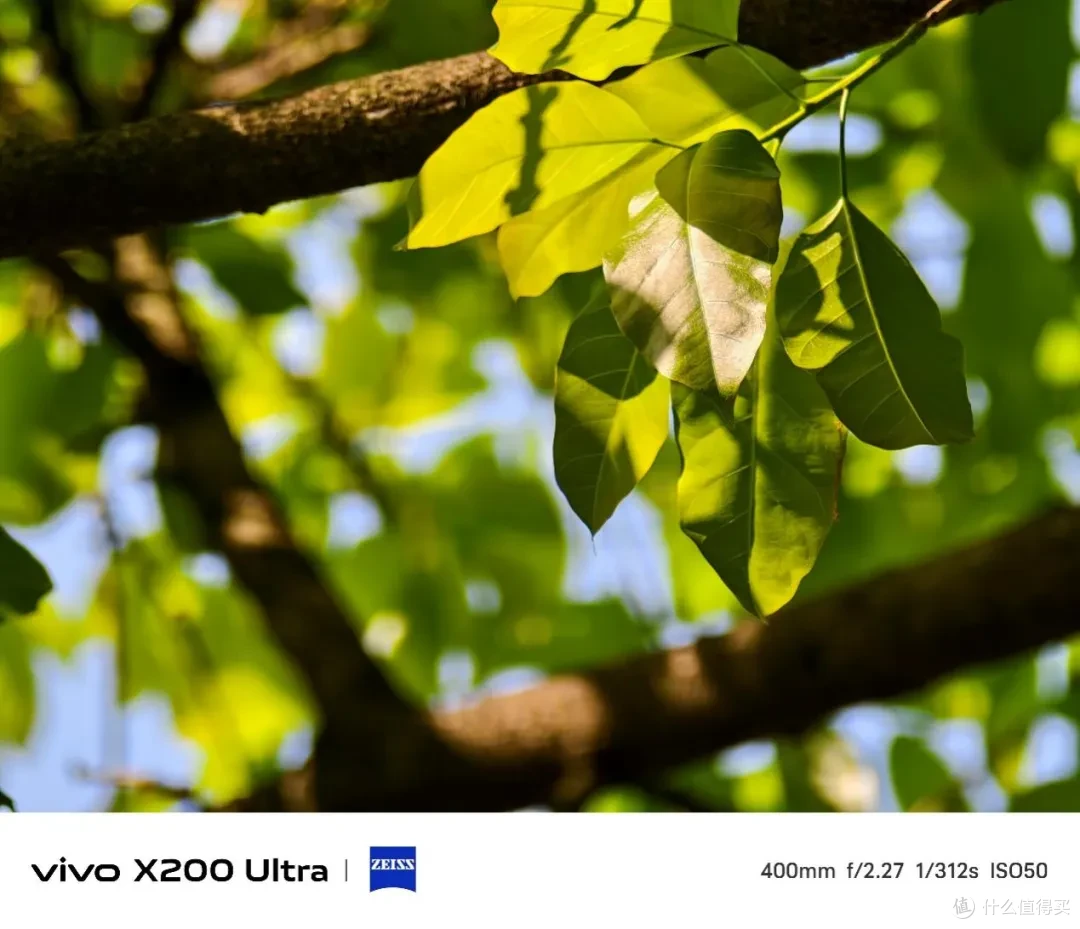 vivo X200 Ultra测评:蔡司三主摄+增距镜,效果究竟有多离谱?