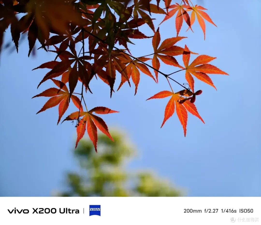 vivo X200 Ultra测评:蔡司三主摄+增距镜,效果究竟有多离谱?