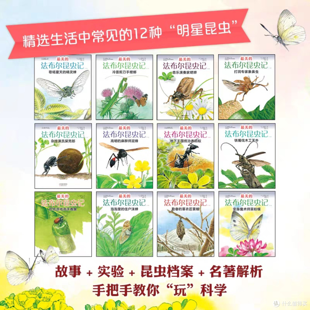 法布尔昆虫记:儿童科普绘本