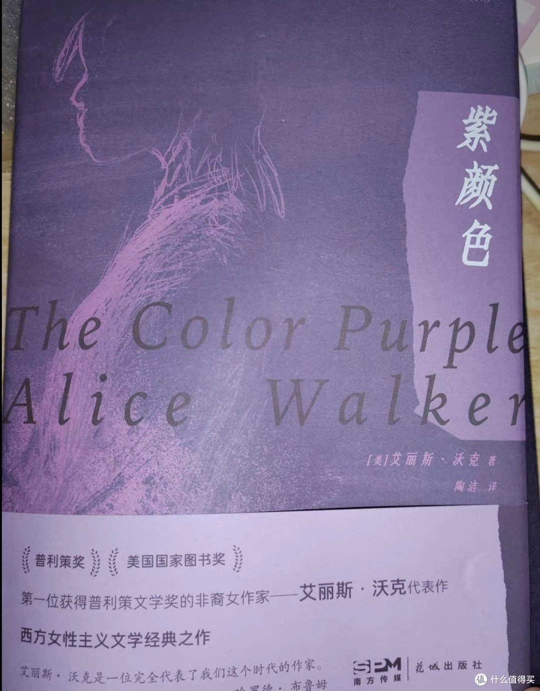 艾丽斯·沃克笔下的女性故事