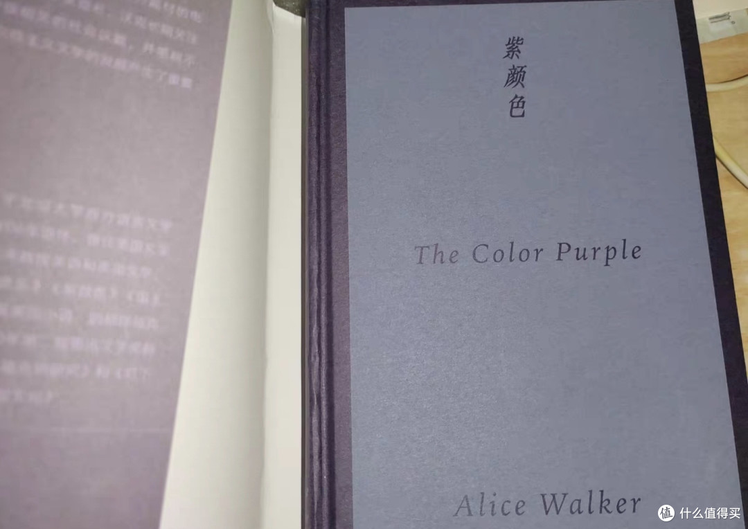 艾丽斯·沃克笔下的女性故事