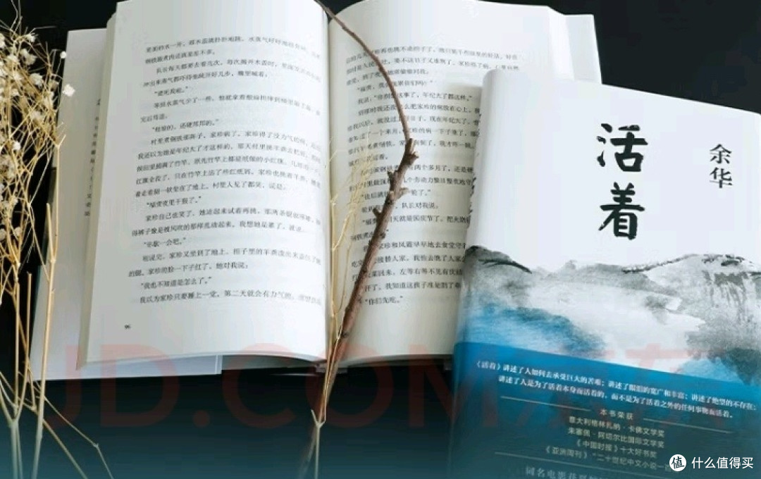好书推荐《活着》感受亲情与孤独的交织