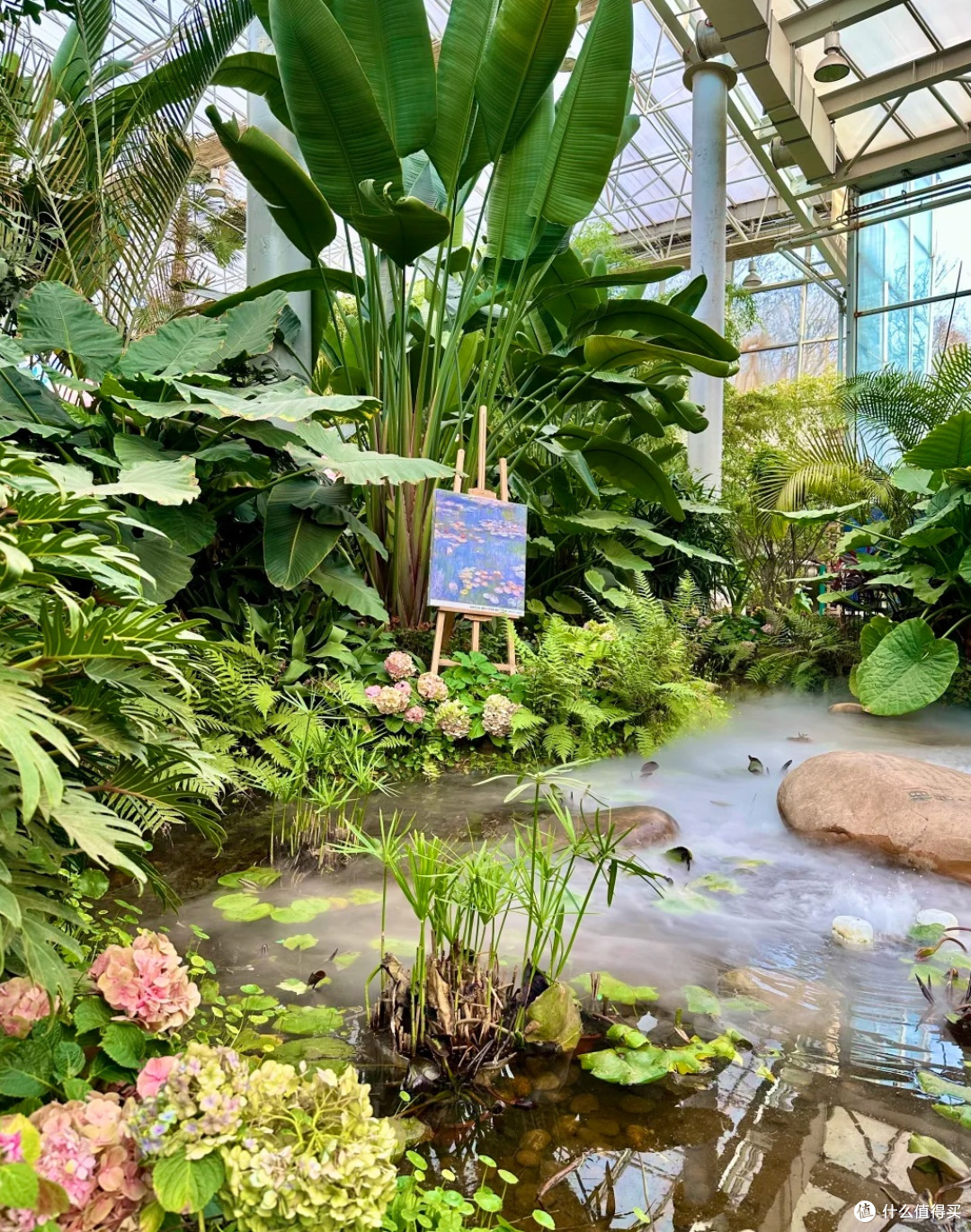 在世博园的莫奈花展,我找到了春天的满分浪漫