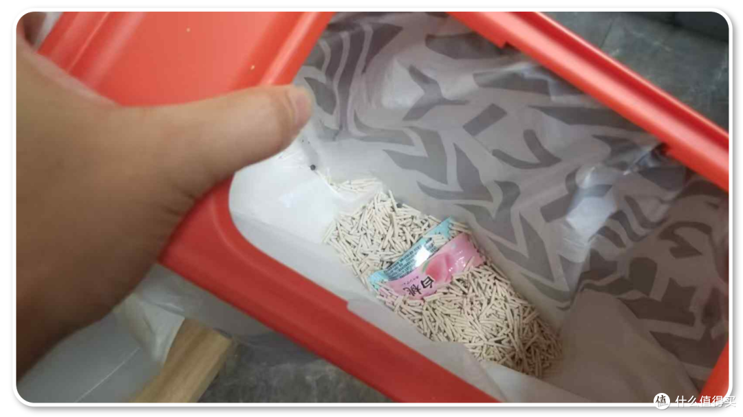单挑6猫？满血开挂数码智慧养宠攻略，你和我之间就差这4件神器！