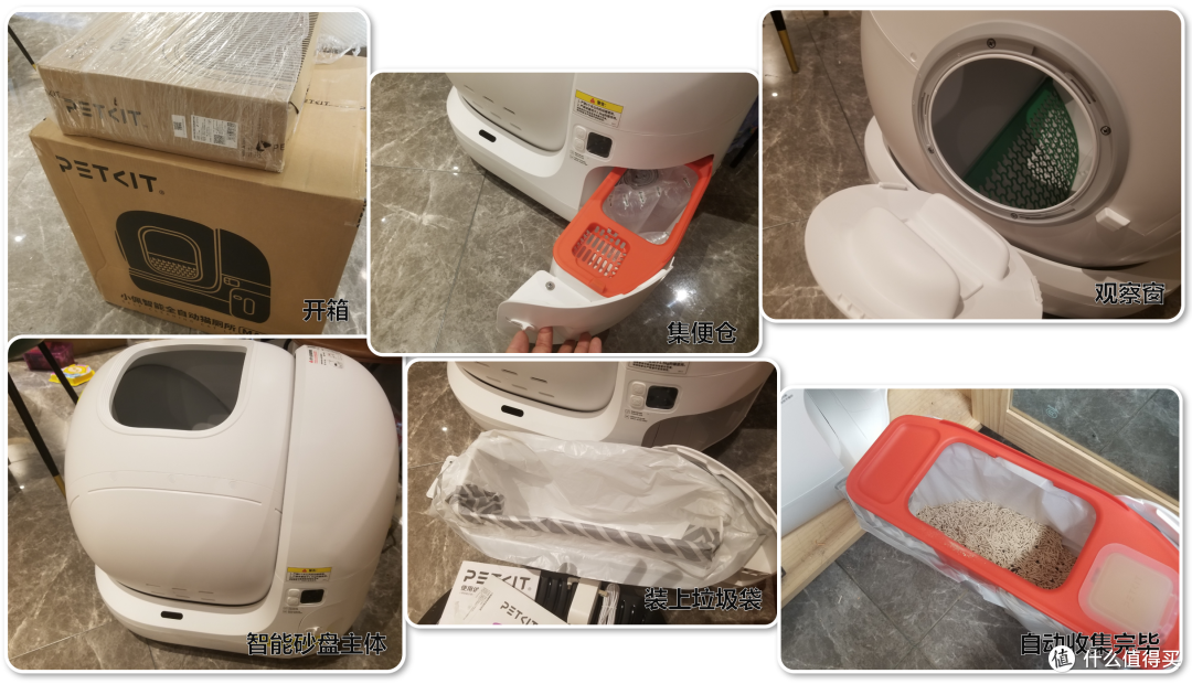 单挑6猫？满血开挂数码智慧养宠攻略，你和我之间就差这4件神器！